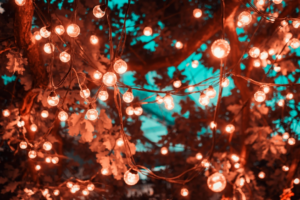 Brown String Lights in Tree
