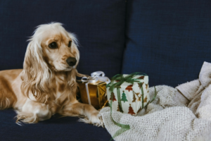 Gifts For Pet Lovers