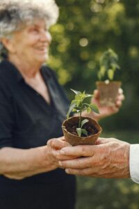 gardening is a great gifts for retired women