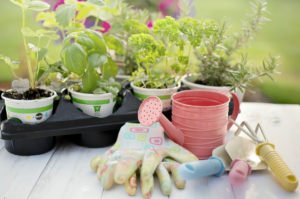 Gardening Sets As Non Toy Gifts For Kids 